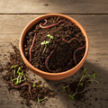 Organic vermicompost 1kg natural fertilizer